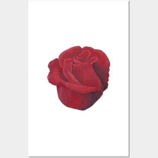 Red Rose Drawing Posters and Art